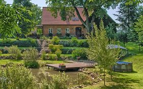 Stara Szkola Trzcin 20